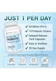 Dr. Berg Probiotic Supplement – 60 Billion CFU, Pre and Probiotics for Gut Health – 30 Capsules