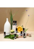 Cliganic Organic Essential Oils Set (Top 5) - 100% Pure for Aromatherapy and Candle Making