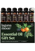 Essential Oils Set - Top 6 Blends for Diffusers, Home Care, Candle Making, Aromatherapy (10ml)